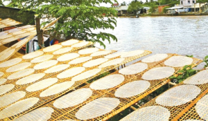 Đặc sản bánh tráng phơi sương ở Tây Ninh