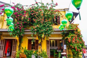 Hội An khoác lên màu áo của hoa giấy đầy rực rỡ